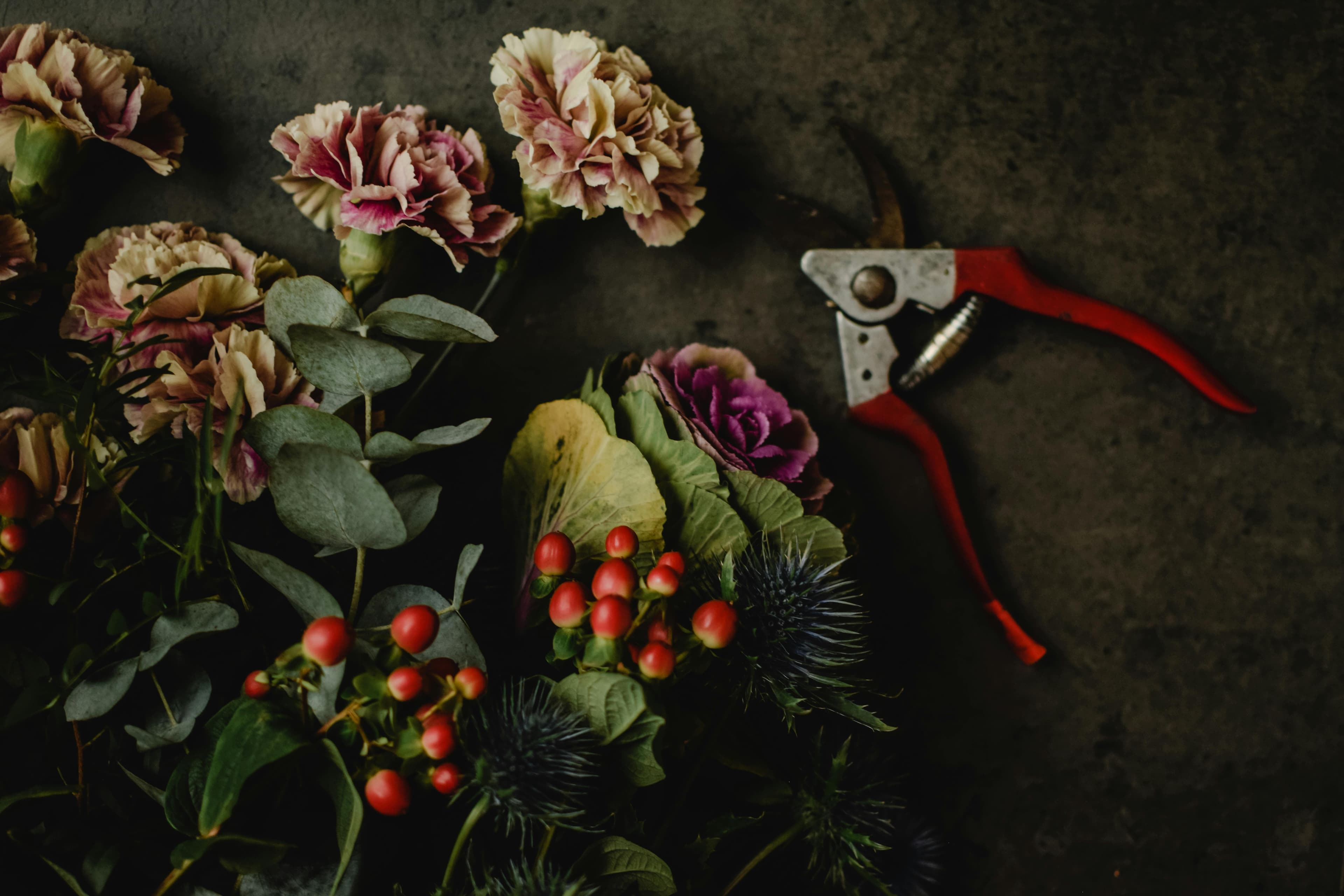 Die Wahl des Meisters